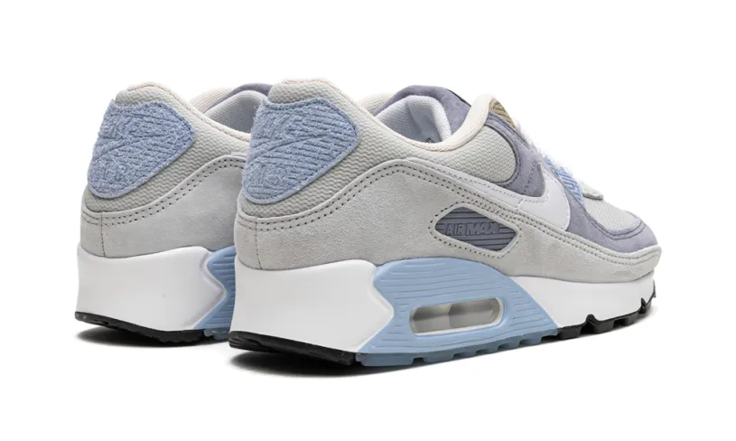 Nike Air Max Air Max 90 'Ashen Slate'